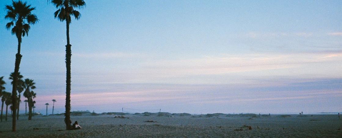 A couple sits against a palm tree on an empty beach in Oxnard at sunset
